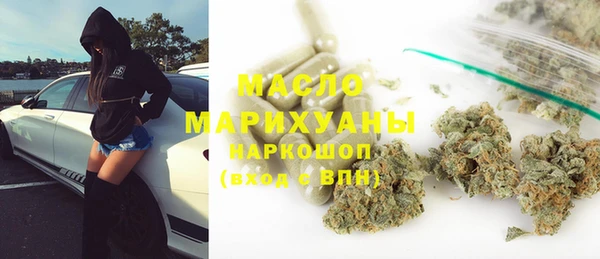 гашик Дмитров