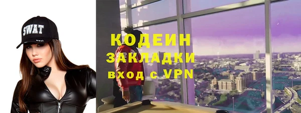 гашик Дмитров
