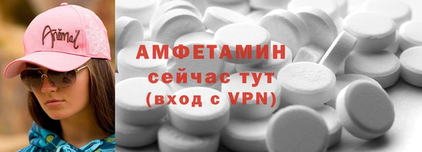 гашик Дмитров