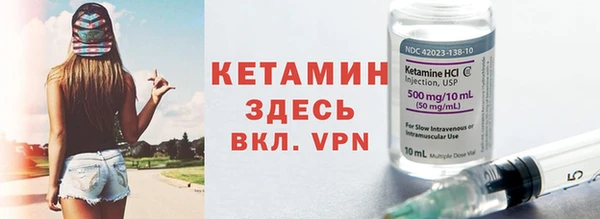 гашик Дмитров