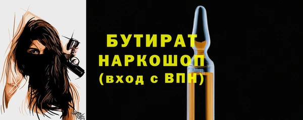 гашик Дмитров