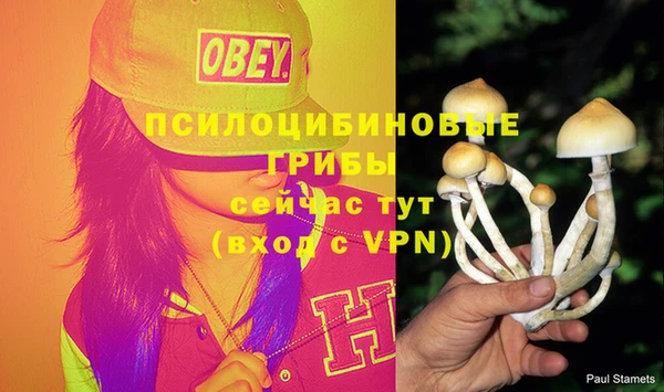 не бодяженный Дмитриев