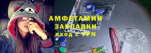 гашик Дмитров