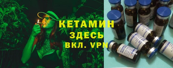 гашик Дмитров